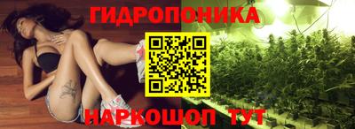 a pvp Шебекино