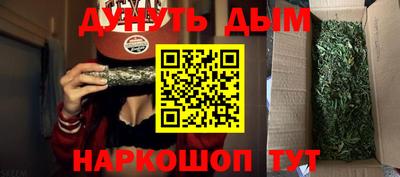 a pvp Шебекино